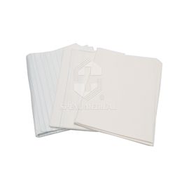 Disposable Bedsheet (Paper+PE)